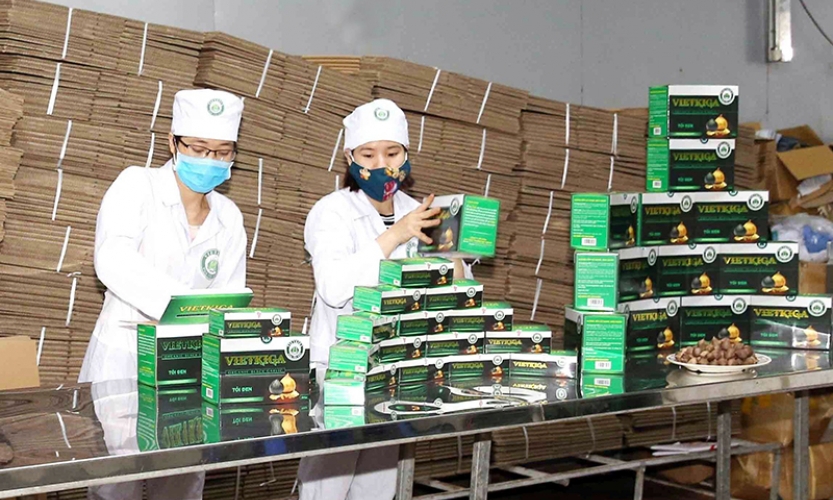 Hiệu quả luân canh và chế biến sâu nông sản