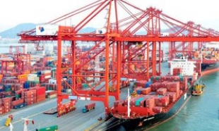 Xuất khẩu hoa quả rộng cửa tăng trưởng