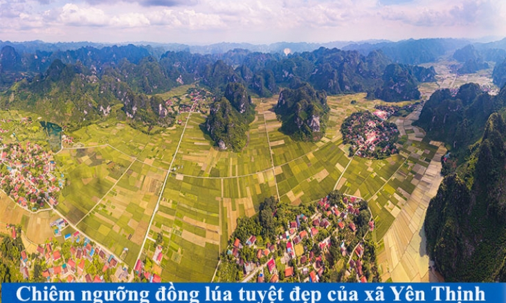 Chiêm ngưỡng đồng lúa tuyệt đẹp của xã Yên Thịnh