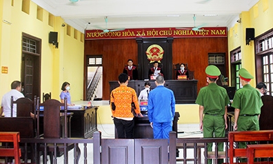Hai anh em ruột nhận án tù vì hủy hoại rừng