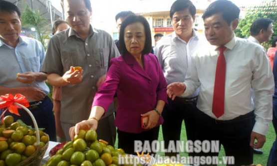 Cao Lộc khai mạc ngày hội Hồng không hạt Bảo Lâm và tổ chức hội nghị trao đổi kinh nghiệm của Thường