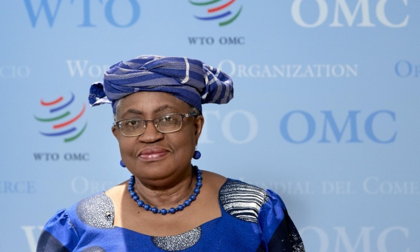 WTO: Kinh tế thế giới trên đà suy thoái
