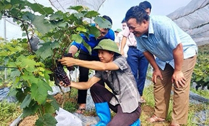 Thực hiện Chỉ thị 05 ở Hữu Lũng: Lan tỏa sâu rộng