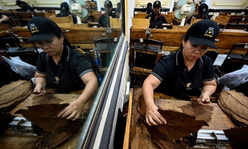 Ăn nên làm ra từ xì gà Cuba