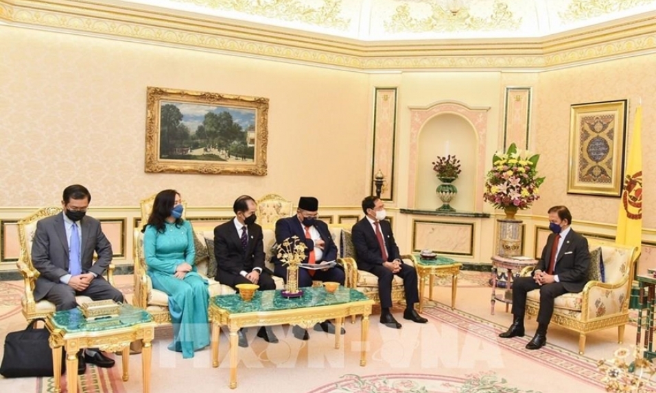 Quan hệ Việt Nam - Brunei ngày càng phát triển sâu rộng