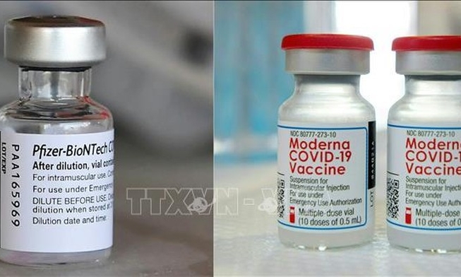 EU cấp chứng nhận cho 2 loại vaccine phiên bản mới ngừa biến thể Omicron