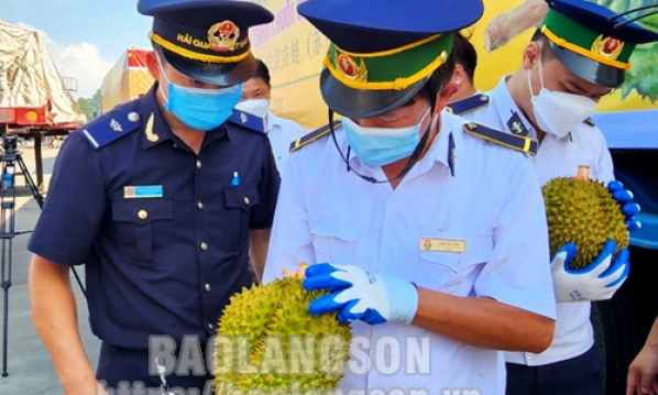 Gần 12 nghìn tấn sầu riêng được xuất khẩu qua Cửa khẩu Quốc tế Hữu Nghị
