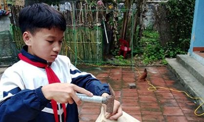Thùng phối chúa ong mật: Giải pháp nâng cao thu nhập cho người nuôi ong