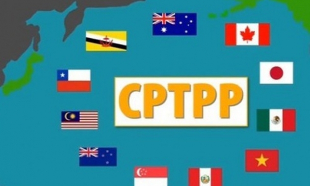 Quốc gia thứ 9 phê chuẩn Hiệp định CPTPP