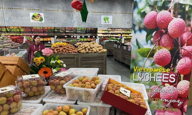 Nhiều điểm sáng về hợp tác thương mại Việt Nam và Australia