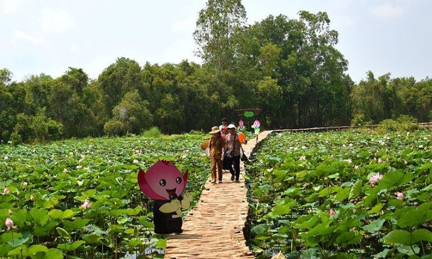 Phát triển du lịch gắn với phát huy giá trị cây sen ở Tháp Mười