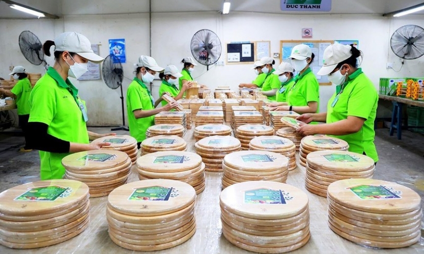Doanh nghiệp chật vật đối mặt áp lực của biến động tỷ giá