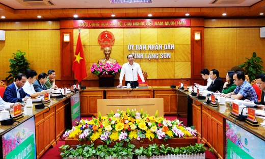 Xem xét, thống nhất các nội dung Kế hoạch tổ chức lễ hội hoa Đào Xứ Lạng và Kế hoạch tổ chức các hoạt