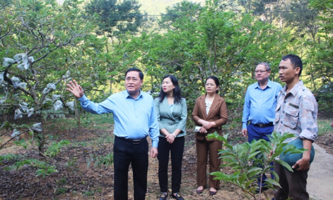 Chi Lăng cần tập trung cao độ để thực hiện tốt 3 chương trình mục tiêu quốc gia