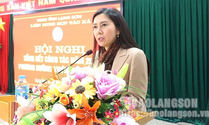 Liên minh hợp tác xã tỉnh triển khai nhiệm vụ năm 2023