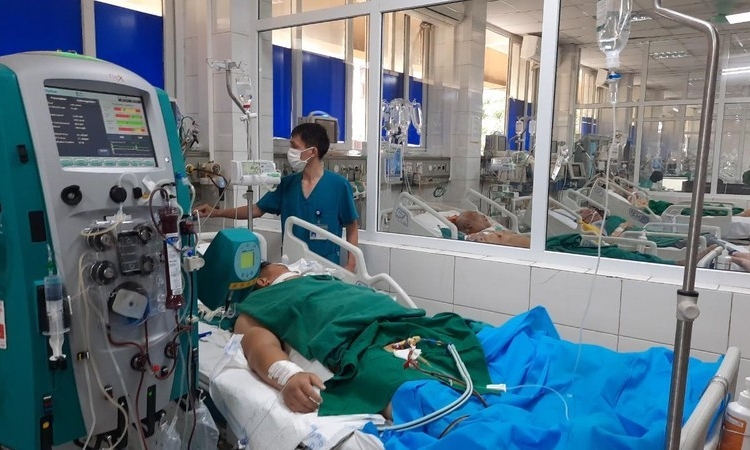 Cả nước có 354.282 ca mắc, 133 ca tử vong do sốt xuất huyết