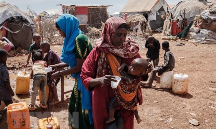 FAO cảnh báo về tình hình nhân đạo thảm khốc ở Somalia