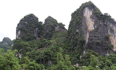 Oanh liệt Hoàng Đình Kinh