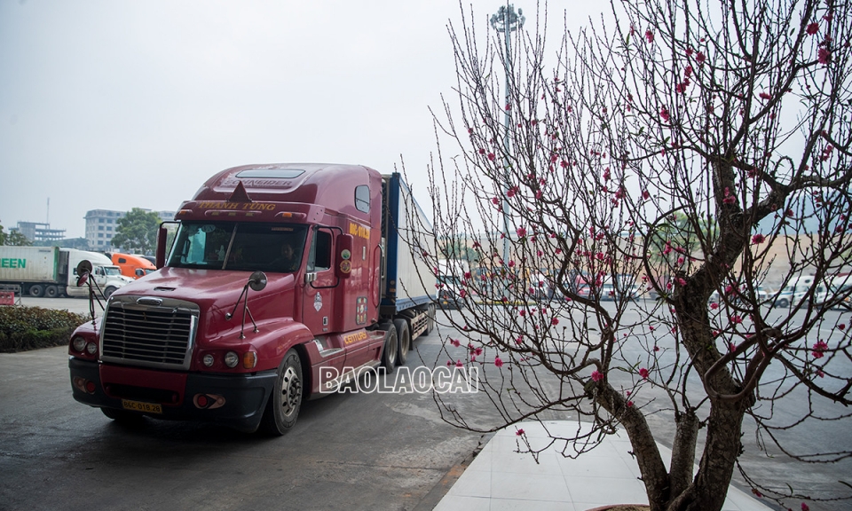 Cửa khẩu, cảng biển tấp nập xuất, nhập khẩu hàng hóa ngày đầu năm
