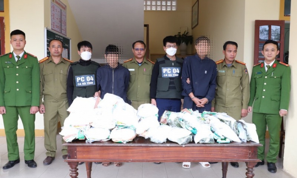 Bắt giữ 2 đối tượng vận chuyển 31kg ma túy