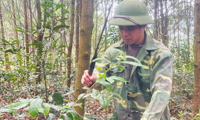 Thoát nghèo từ nội lực