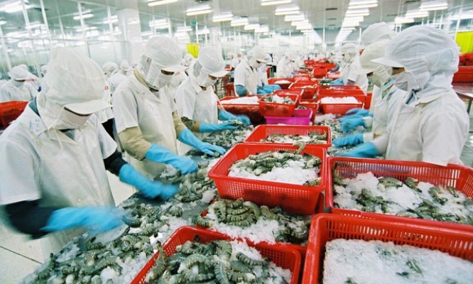 Xuất khẩu nông nghiệp: Khởi sắc từ thị trường lớn