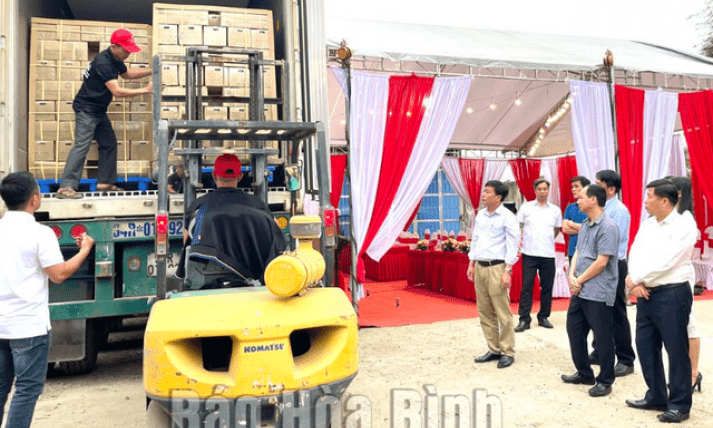 Hòa Bình: Xuất khẩu lô mía tươi đầu tiên sang thị trường Hoa Kỳ