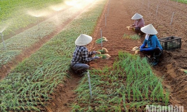 Xây dựng nông thôn mới