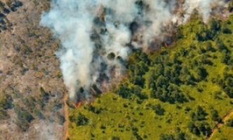“Giặc lửa” thiêu rụi gần 3.600ha rừng của Cuba