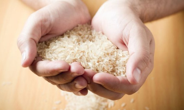Philippines là khách hàng lớn nhất của gạo Việt