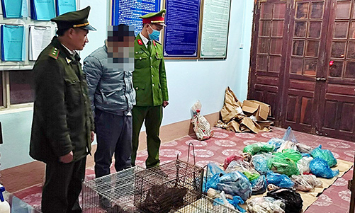 Săn bắt, mua bán động vật quý hiếm: Thiếu hiểu biết, nhận hậu quả