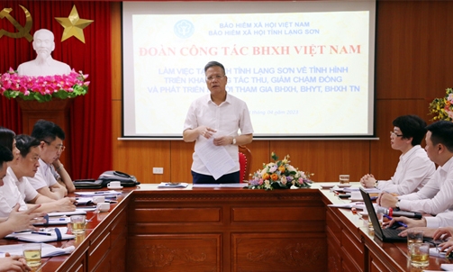 Đoàn công tác của BHXH Việt Nam làm việc với BHXH tỉnh