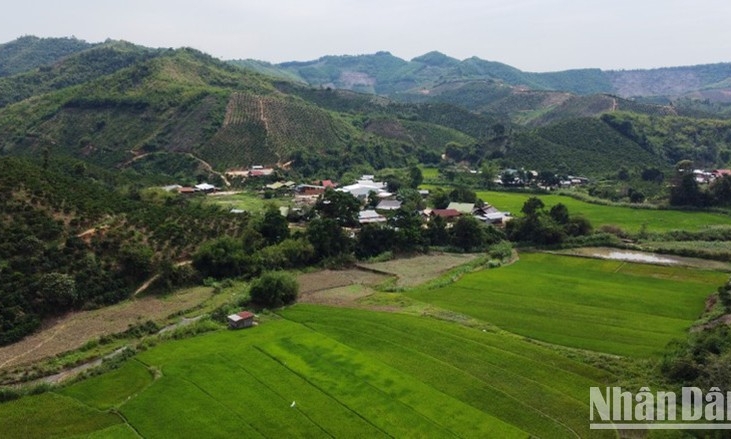 Triển khai hỗ trợ việc làm bền vững trong chương trình giảm nghèo còn chậm