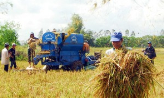 Thách thức về giảm phát thải trong sản xuất lúa