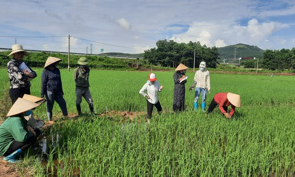 Đào tạo những chuyên gia quản lý 'sức khỏe' cây trồng