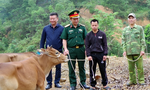 Hỗ trợ bò giống cho người dân