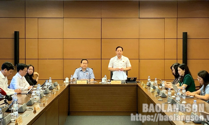 Đại biểu Quốc hội tỉnh thảo luận tổ về Luật Lực lượng tham gia bảo vệ an ninh, trật tự ở cơ sở và đóng