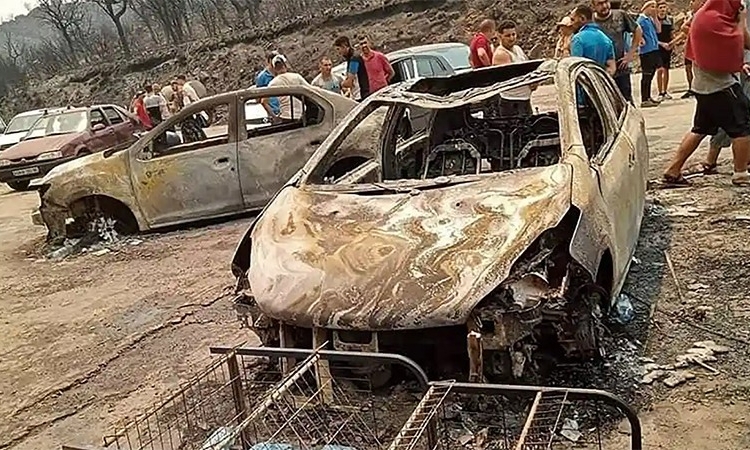Cháy rừng lan rộng tại Algeria khiến 34 người thiệt mạng
