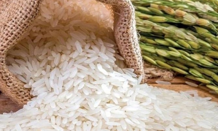 Giá gạo Việt Nam: Giữ vững vị trí cao nhất thế giới