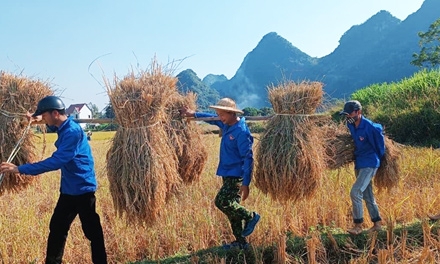 Tuổi trẻ Gia Lộc học và làm theo Bác: Góp sức trẻ vì cuộc sống cộng đồng
