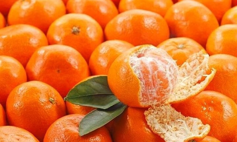 Các bài thuốc từ quả quýt bạn nên biết