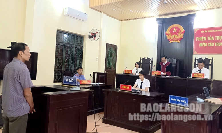 Bình Gia: Xét xử sơ thẩm 2 đối tượng phá rừng tự nhiên