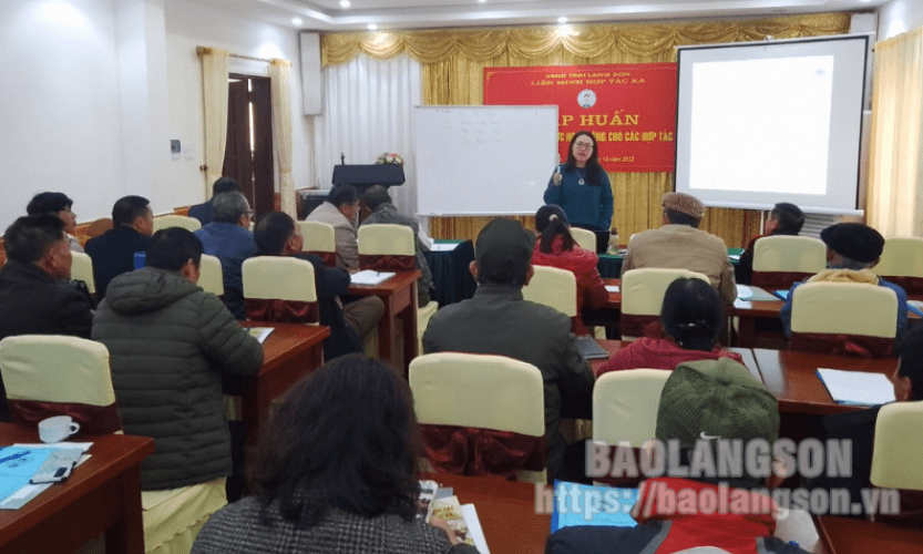 Liên minh hợp tác xã tỉnh: Đồng hành cùng hợp tác xã vượt khó