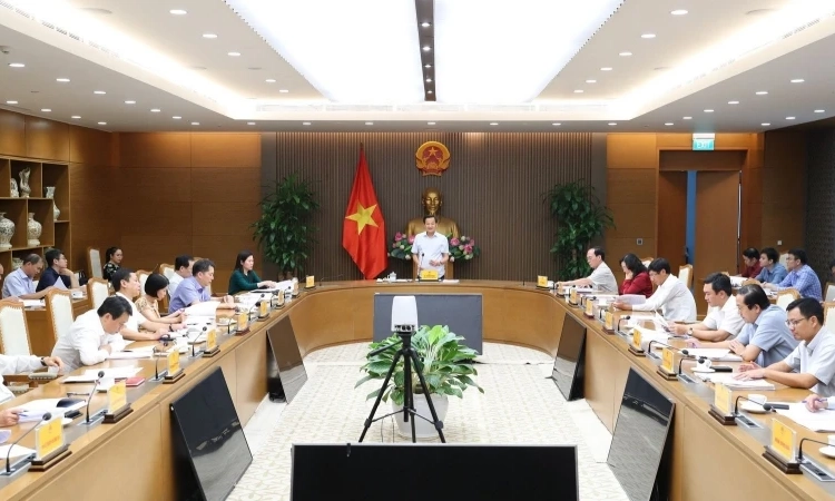 Xem xét, thống nhất giải pháp xử lý dứt điểm dự án Bột giấy Phương Nam