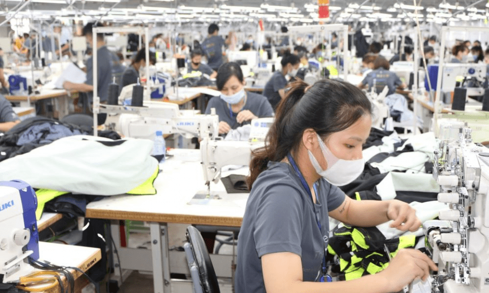 Chủ động thích ứng với tiêu chuẩn mới của EU