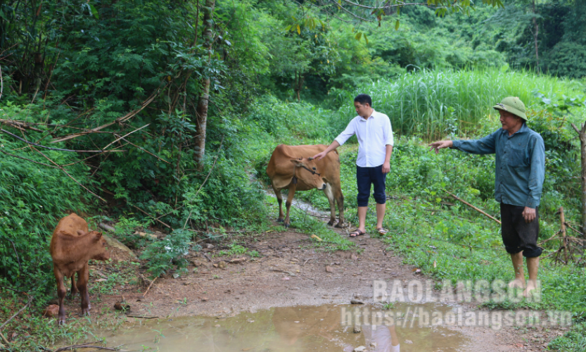 Trung tâm Dịch vụ nông nghiệp huyện Bắc Sơn: Cầu nối đưa khoa học kỹ thuật đến với người dân