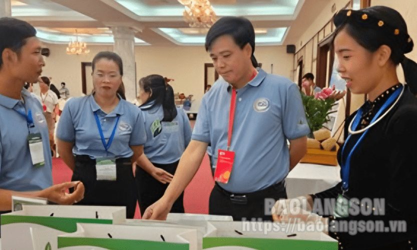 Khởi nghiệp từ sản phẩm heo dẻo mác mật