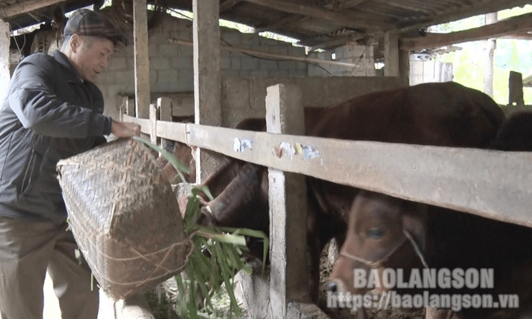 Bình Thượng 14 năm liền đạt “khu dân cư văn hóa”
