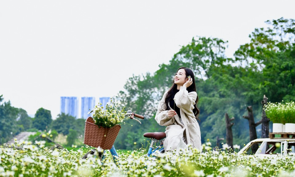 Thời tiết hôm nay (29-12): Miền Bắc rét khô, Trung Bộ có mưa lớn