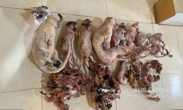 Công an huyện Bắc Sơn phát hiện, thu giữ nhiều cá thể động vật hoang dã